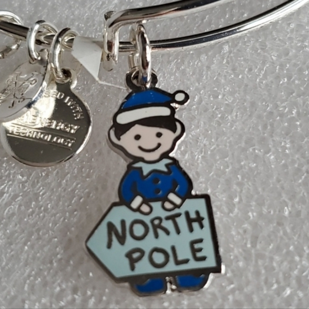 Silver Alex And Ani Elf North Pole Bracelet